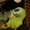 img_0025