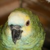 img_0819